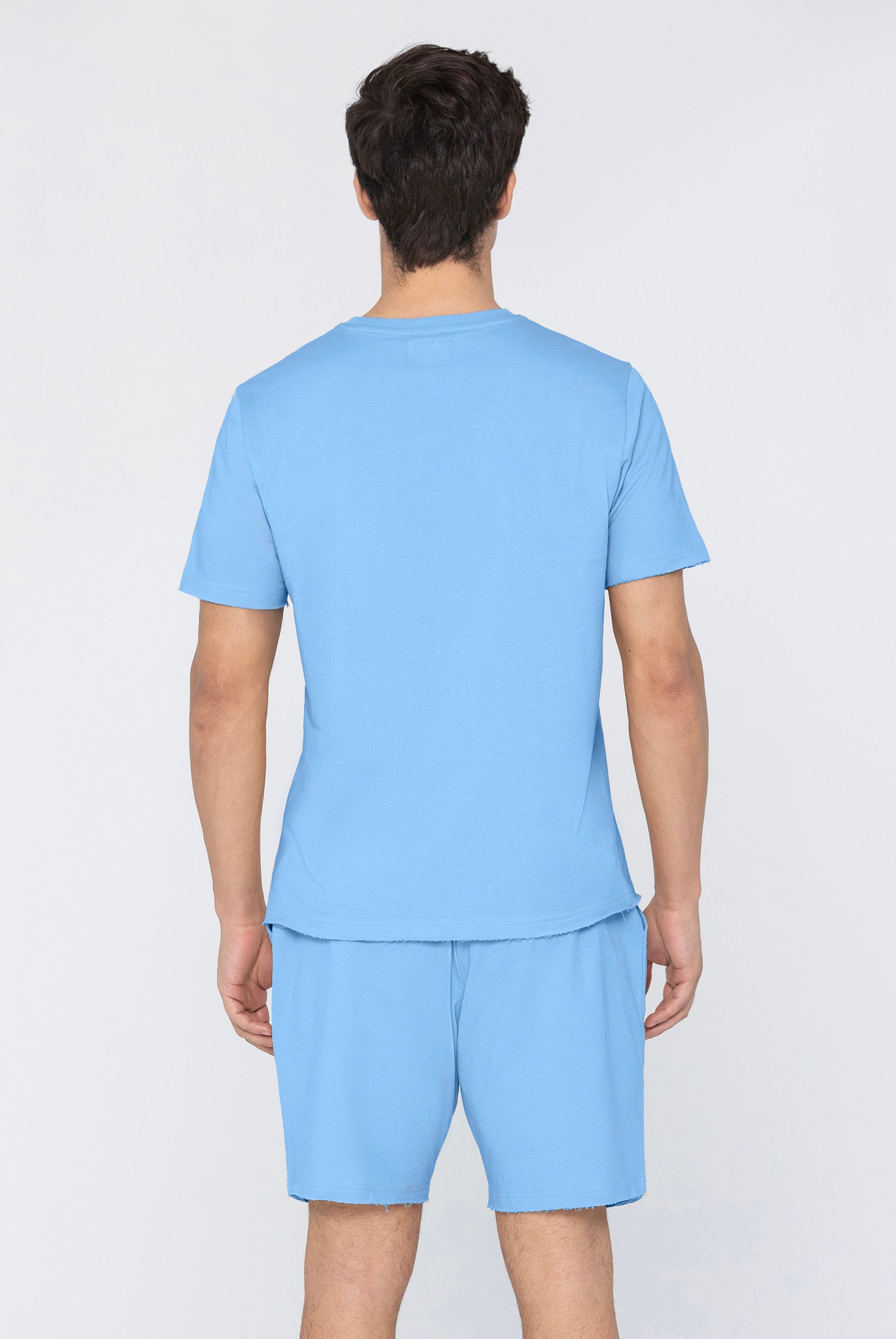 Mens Regular Fit T-Shirt & Shorts Set
