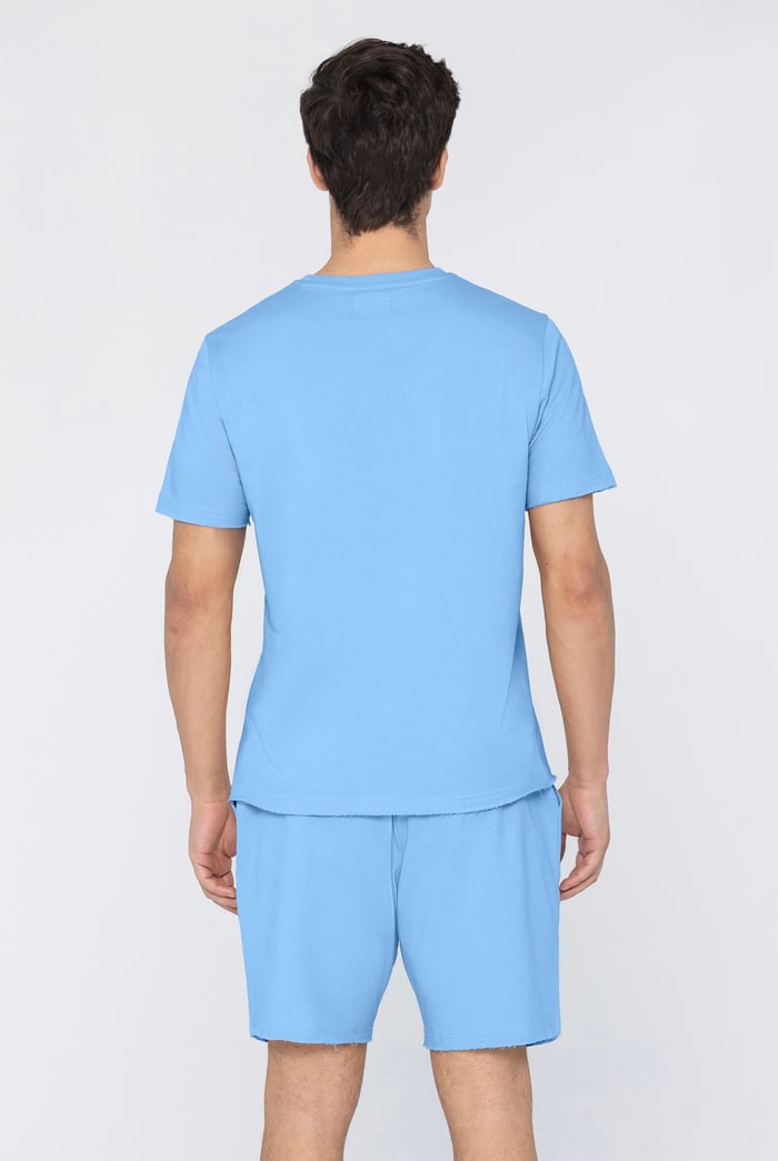 Mens Regular Fit T-Shirt & Shorts Set