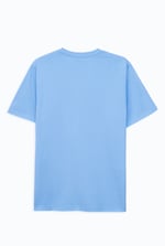 Mens Regular Fit T-Shirt & Shorts Set