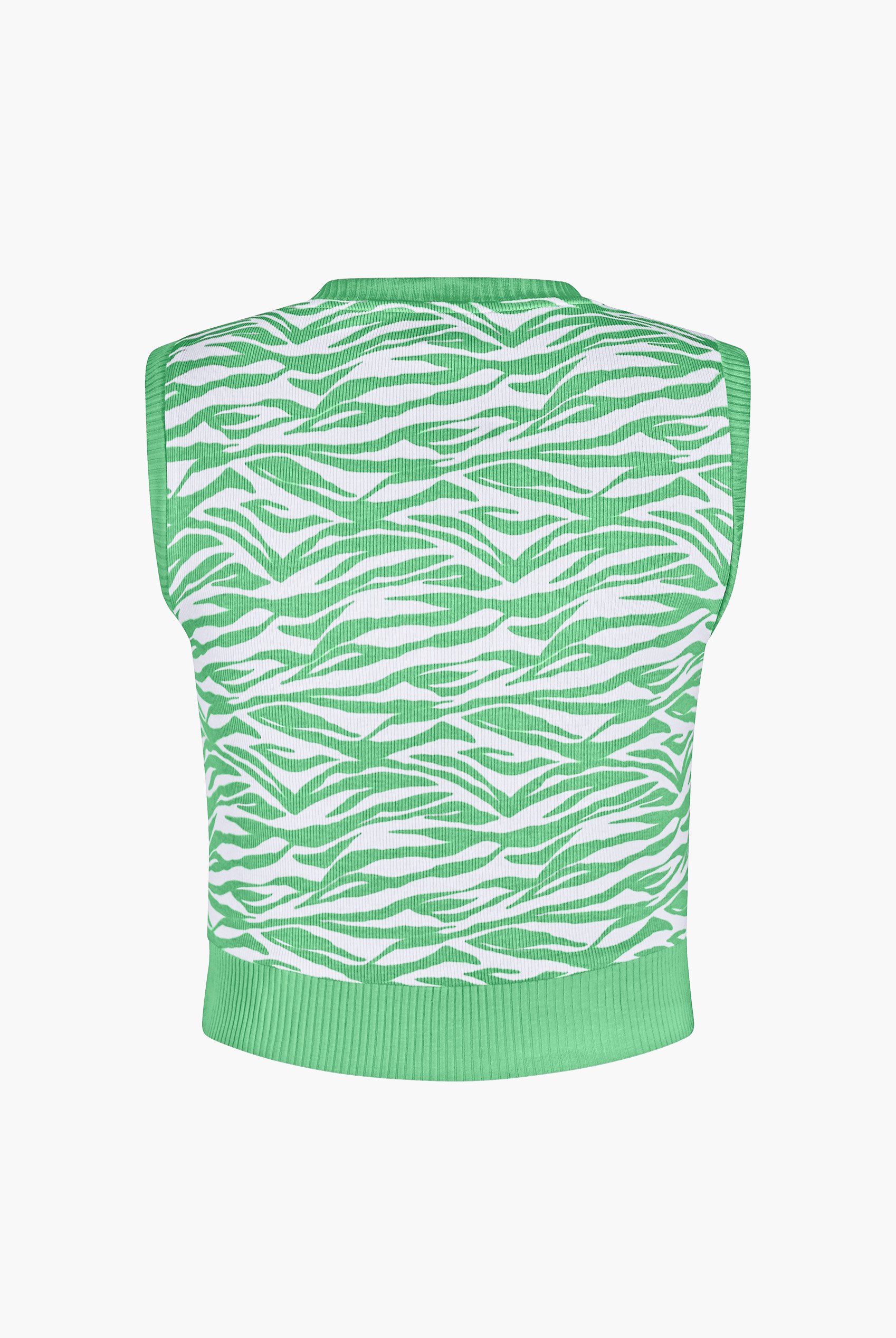 Zebra Printed Top