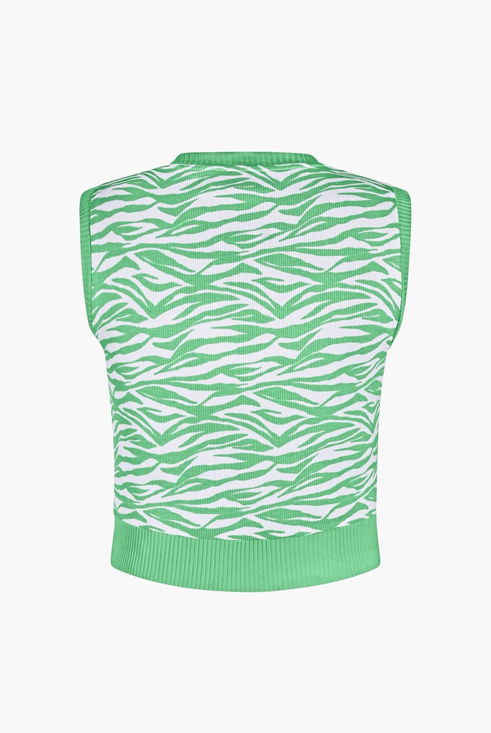 Zebra Printed Top