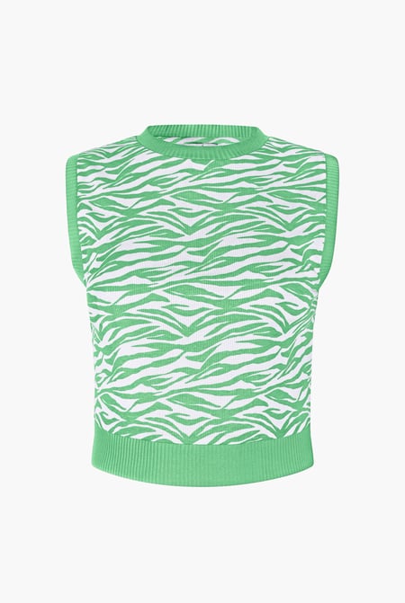 Nude Zebra Printed Top