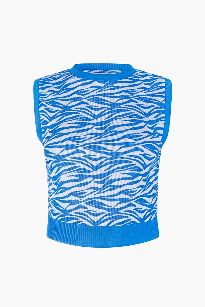 Zebra Printed Top