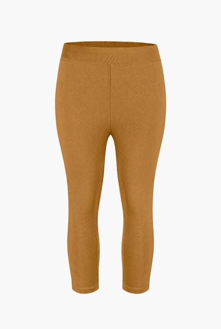Brown Stretchy Cropped Leggings