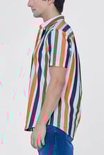 Button Down Short Sleeve Shirt