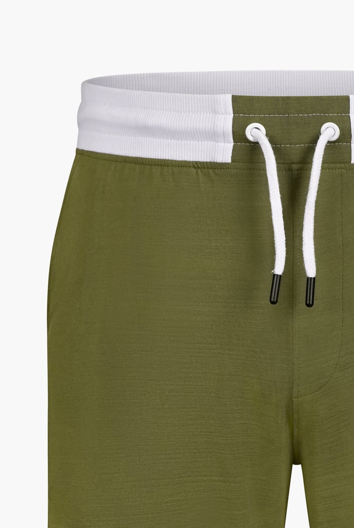 Contrast Waistband Regular Fit Shorts