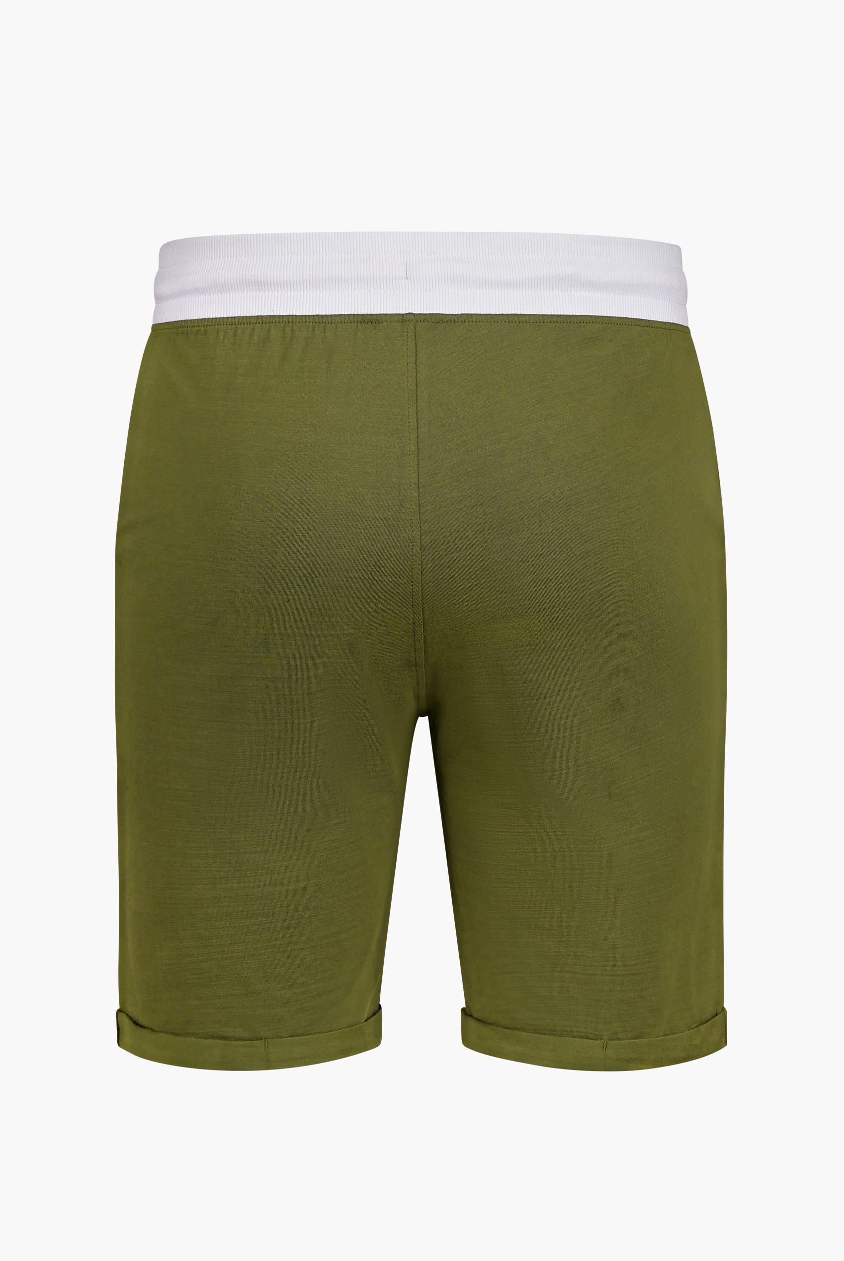 Contrast Waistband Regular Fit Shorts