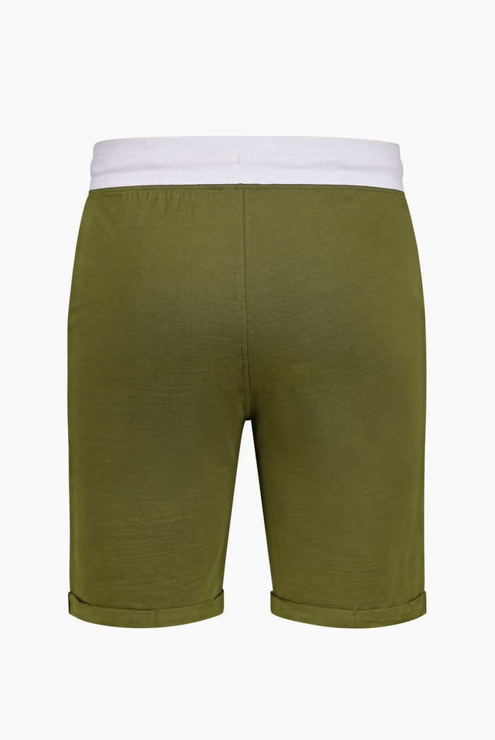 Contrast Waistband Regular Fit Shorts