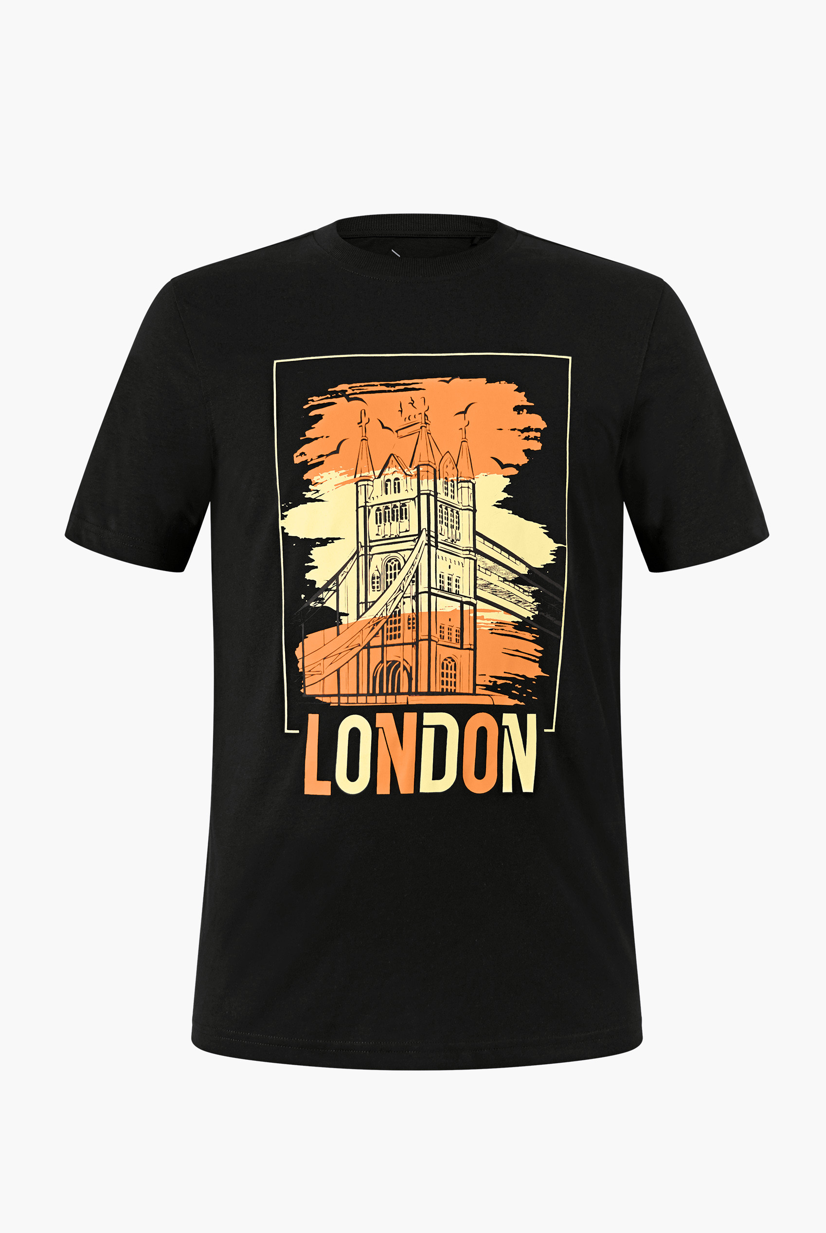 100% Cotton Graphic T-Shirt 3 Pcs Pack