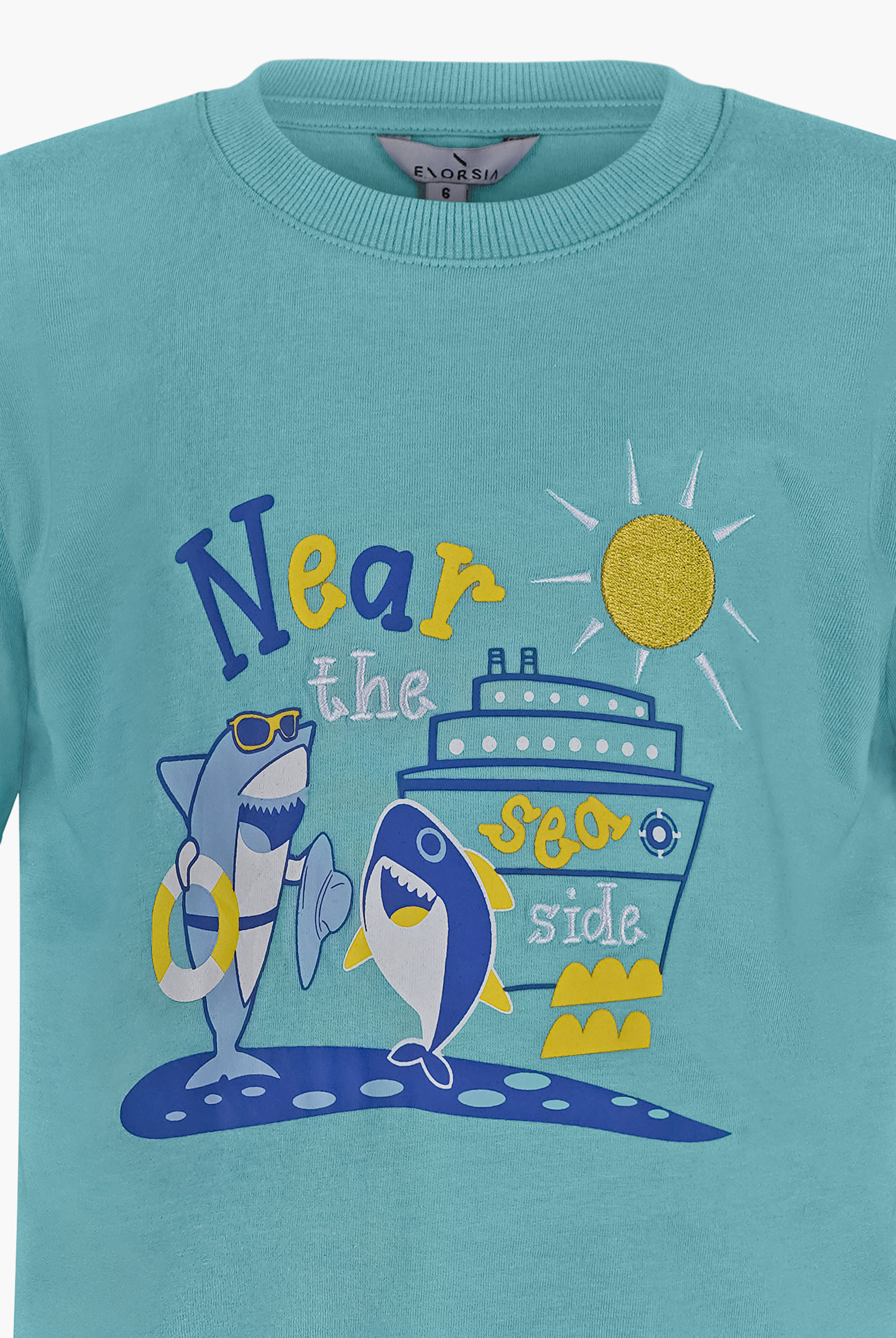 Boys Graphic Short Sleeve T-Shirt ( 6yrs-11yrs)