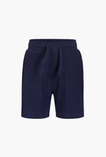 Boy's Casual textured Jersey Shorts (6yrs-11yrs)