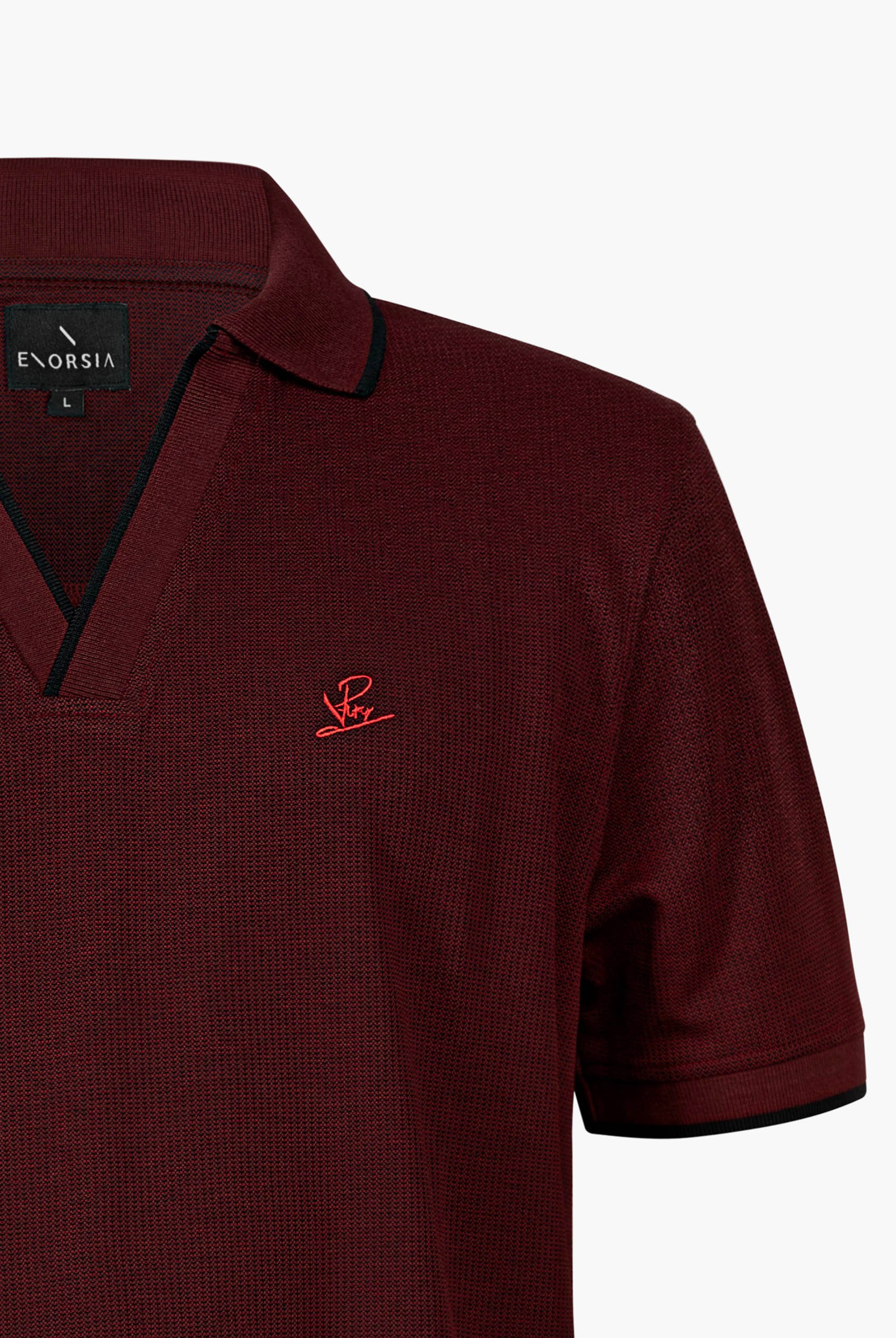 Regular Fit Ribbed V-Neck Polo Shirt