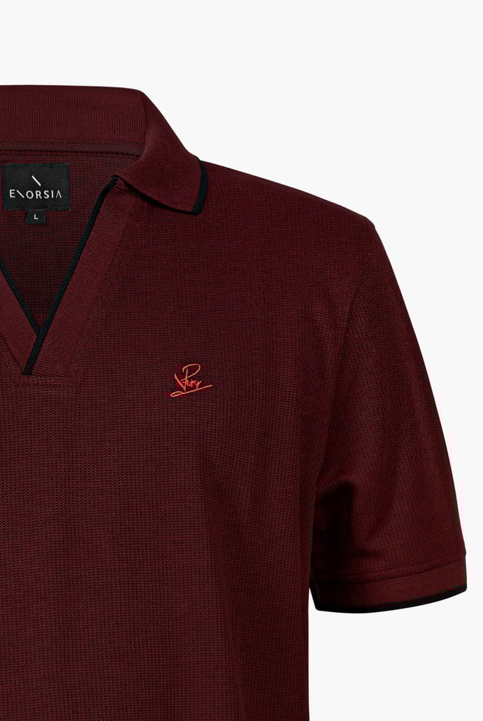 Regular Fit Ribbed V-Neck Polo Shirt