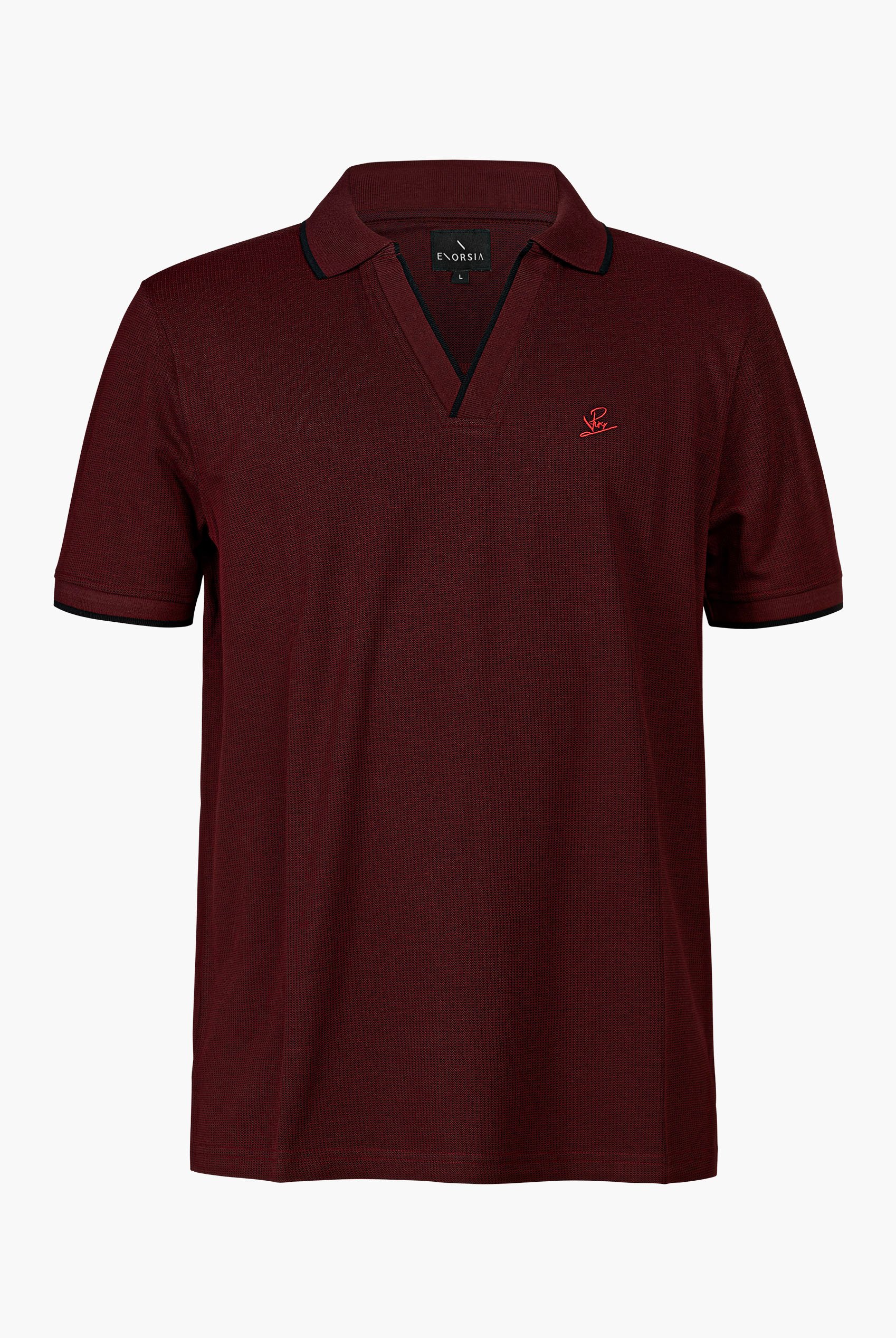 Regular Fit Ribbed V-Neck Polo Shirt