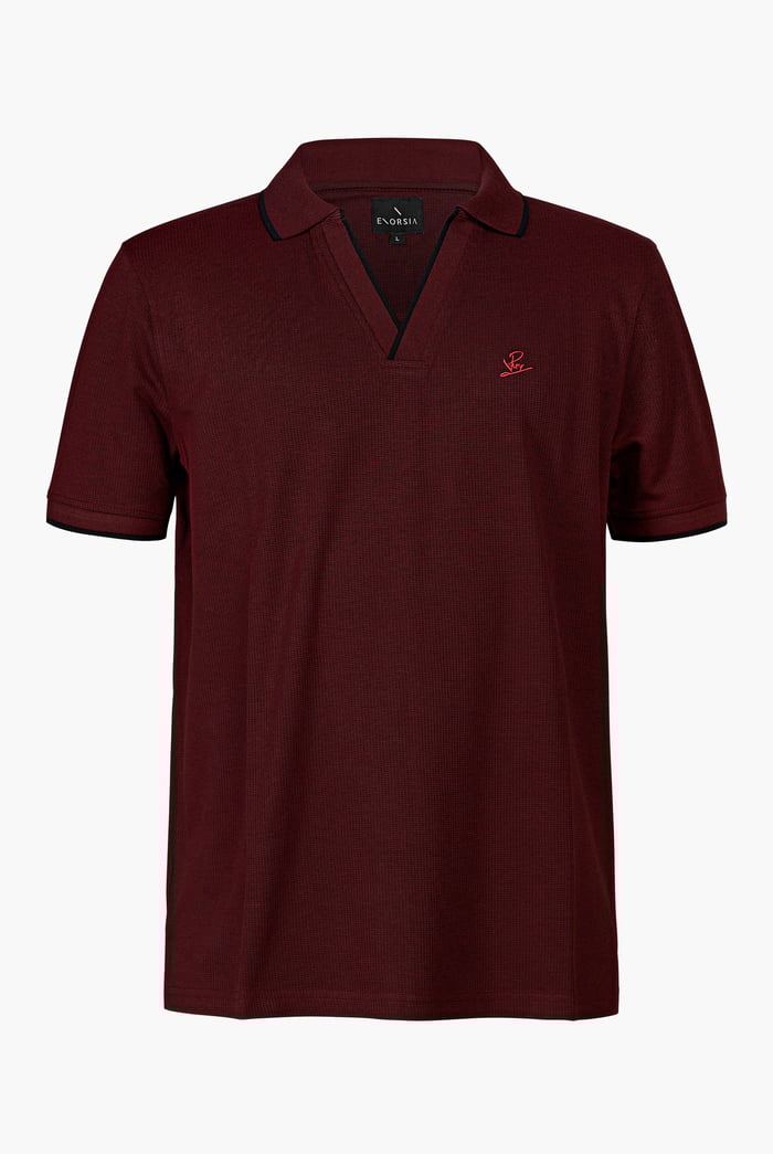 Regular Fit Ribbed V-Neck Polo Shirt