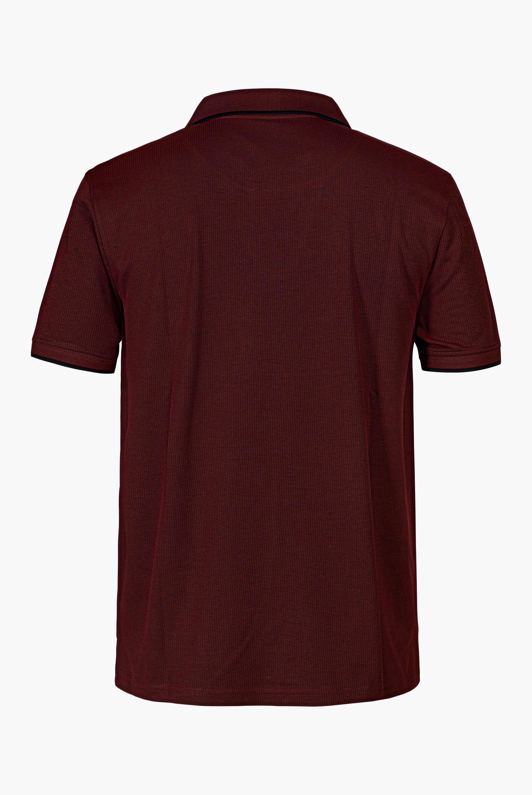 Regular Fit Ribbed V-Neck Polo Shirt