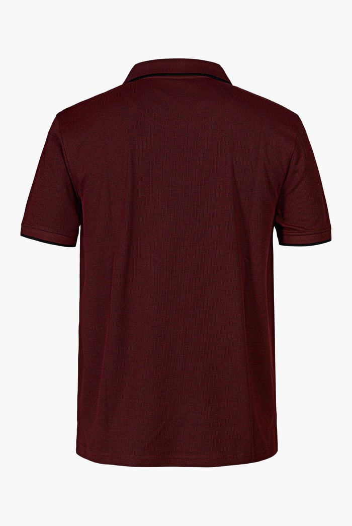 Regular Fit Ribbed V-Neck Polo Shirt