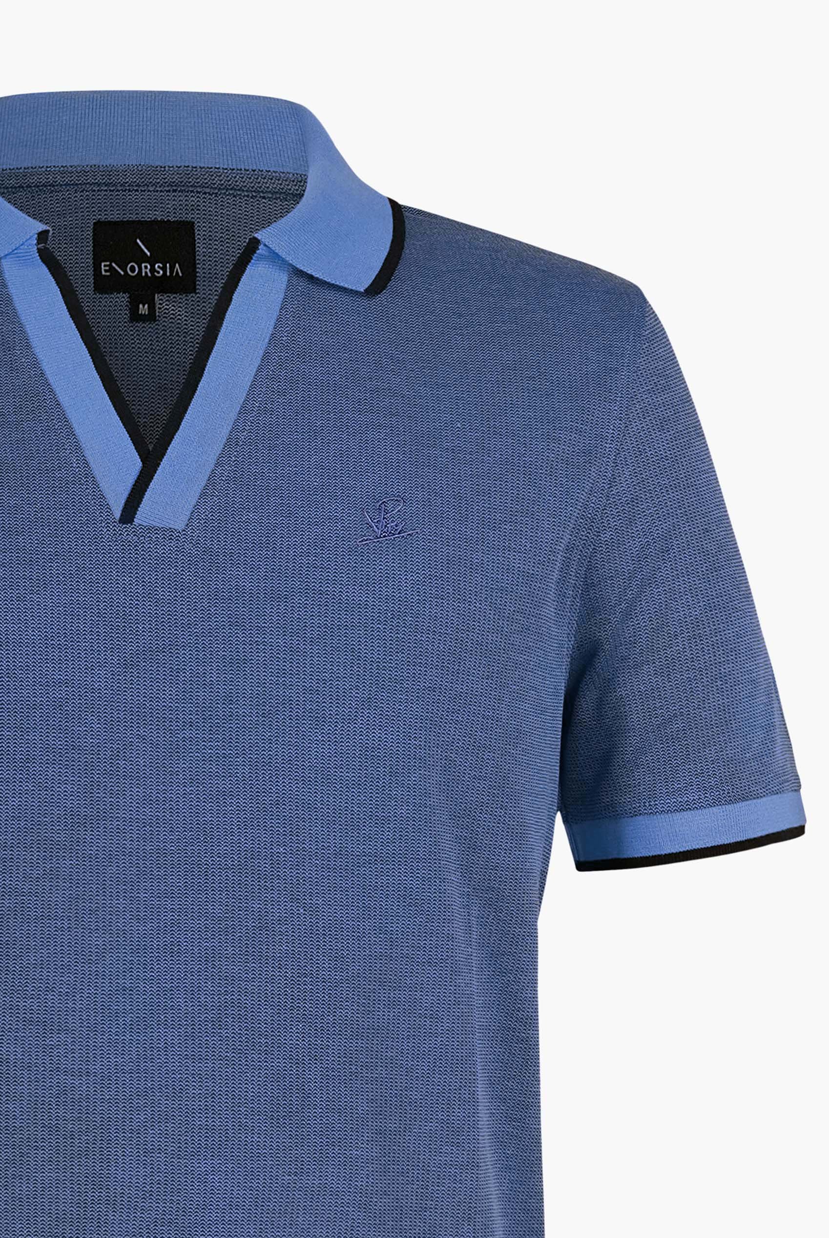 Regular Fit Ribbed V-Neck Polo Shirt