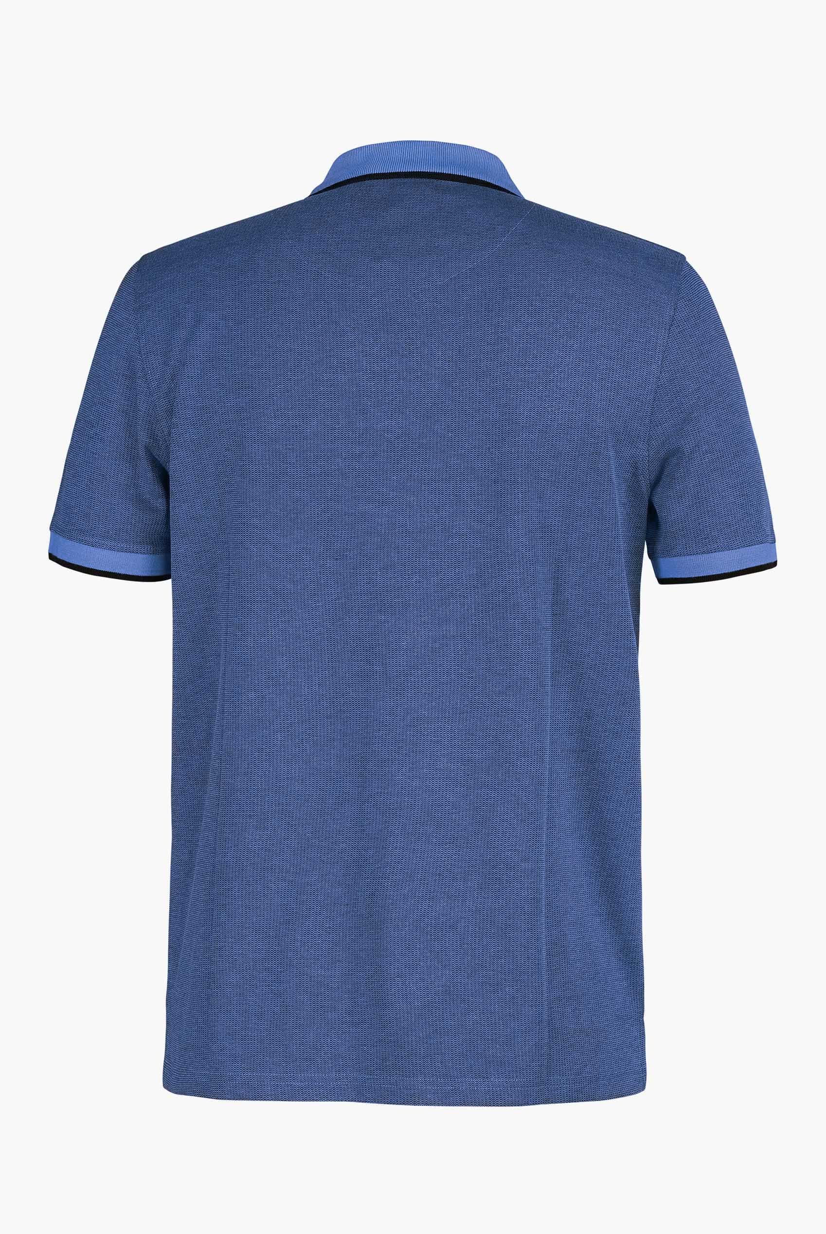 Regular Fit Ribbed V-Neck Polo Shirt
