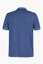 Regular Fit Ribbed V-Neck Polo Shirt