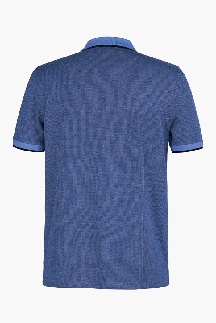 Regular Fit Ribbed V-Neck Polo Shirt