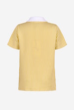 Boys Striped Jersey Seersucker Shirt (6yrs-11yrs)