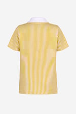 Boys Striped Jersey Seersucker Shirt (6yrs-11yrs)