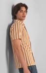 Short Sleeve Stripe Jersey Shirt