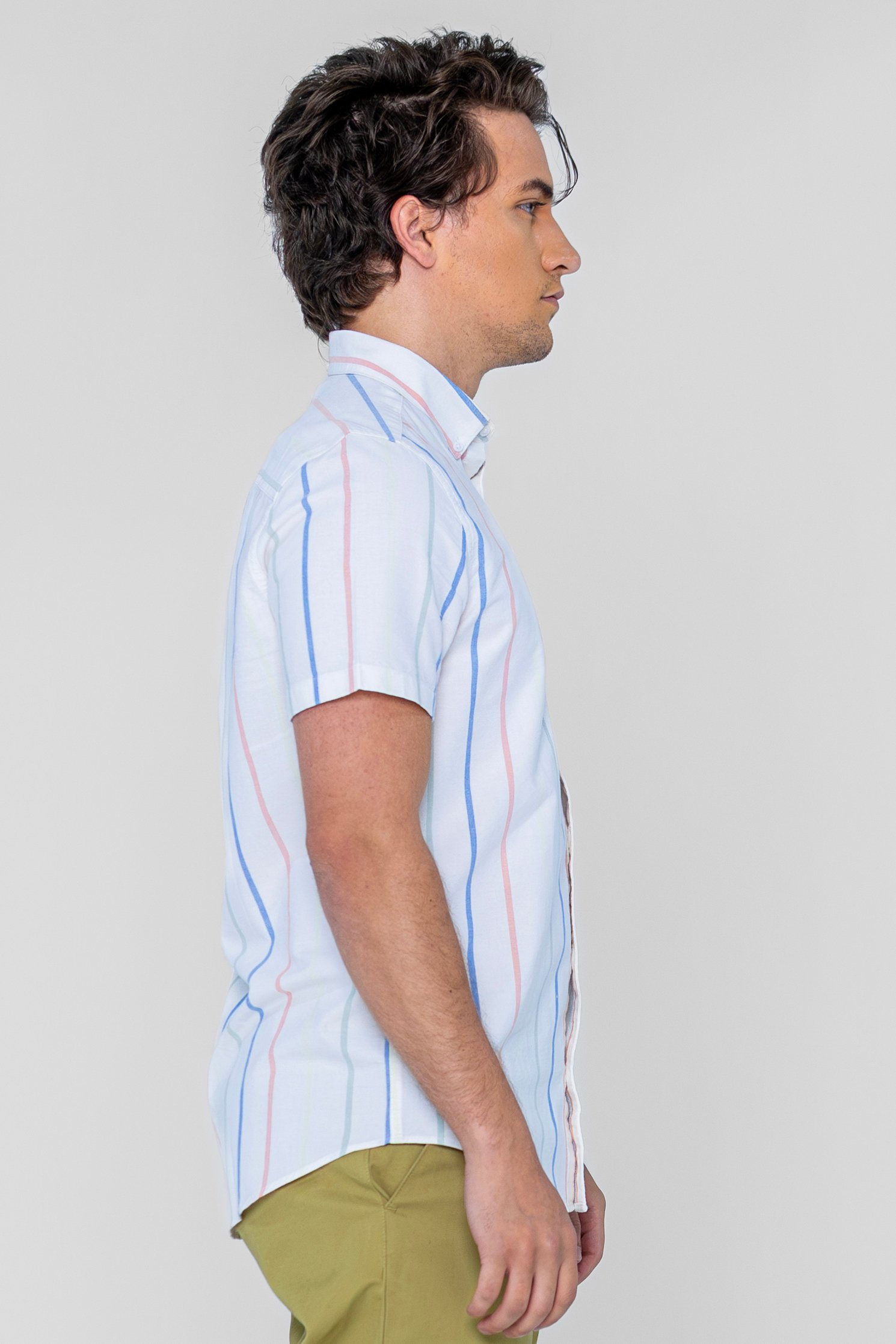 Stripe Short Sleeve Oxfrod Shirt