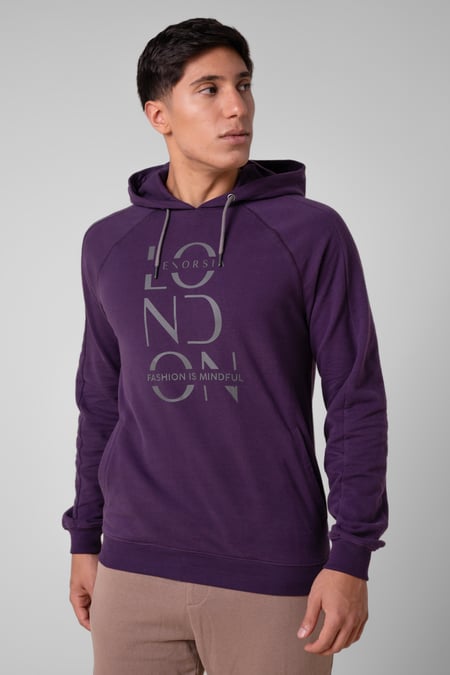 Grey Raglan Sleeve Chest Print Hoodie