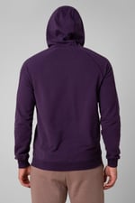 Raglan Sleeve Chest Print Hoodie