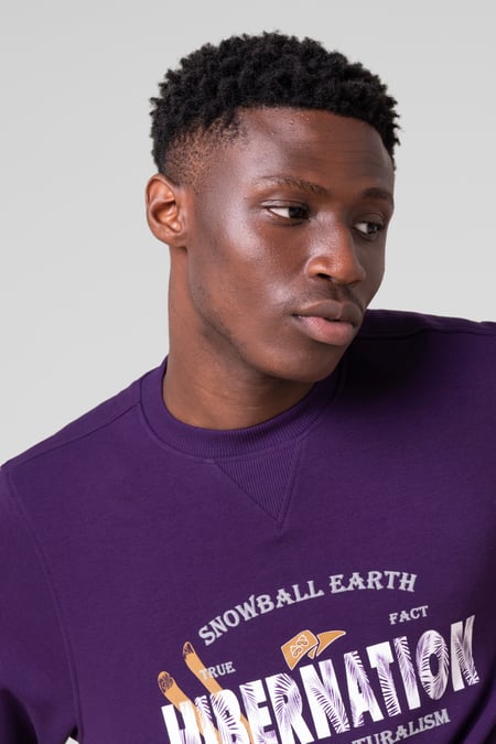 Mens Purple Hibernation Sweatshirt