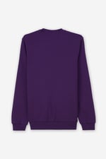 Mens Hibernation Sweatshirt