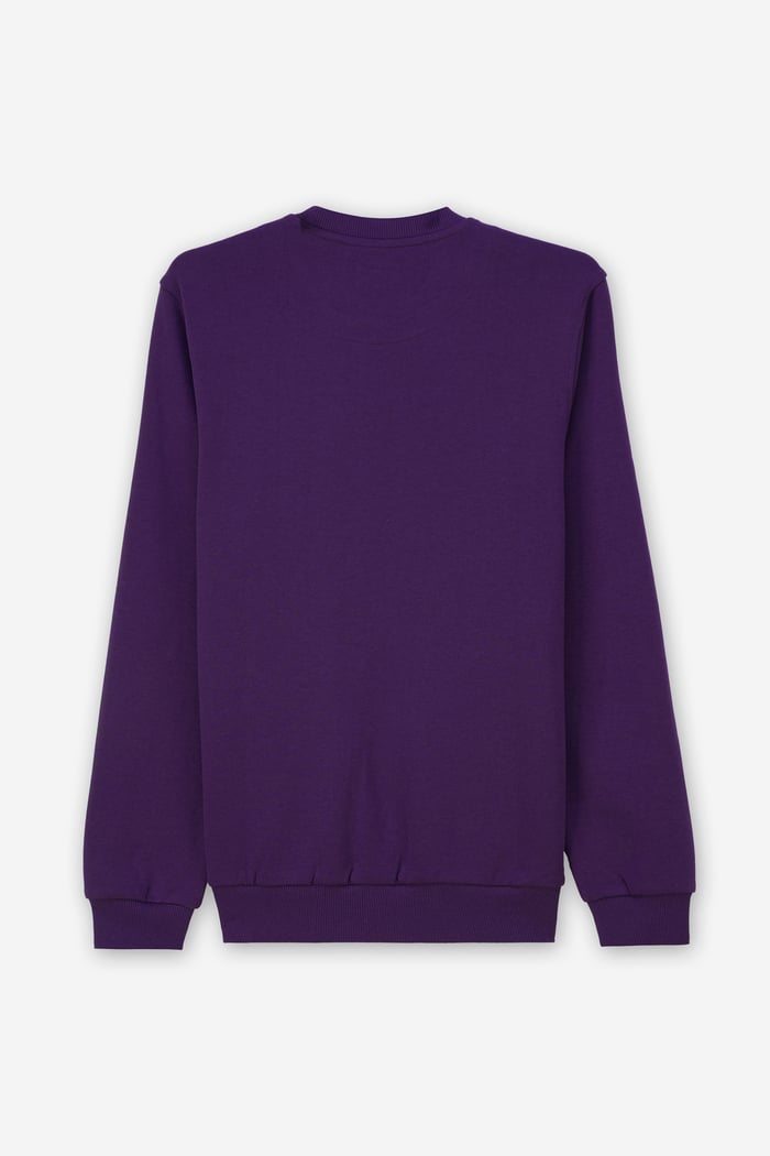 Mens Hibernation Sweatshirt