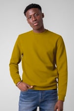 Mens Crew Neck Design Rib Sweatshirt
