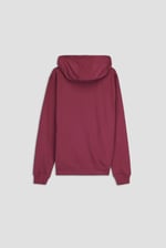 Premium Pull Over Hoodie With Signature Logo