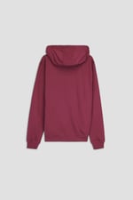 Premium Pull Over Hoodie With Signature Logo