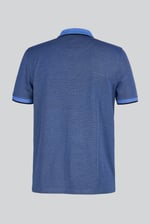 Regular Fit Ribbed V-Neck Polo Shirt