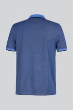 Regular Fit Ribbed V-Neck Polo Shirt