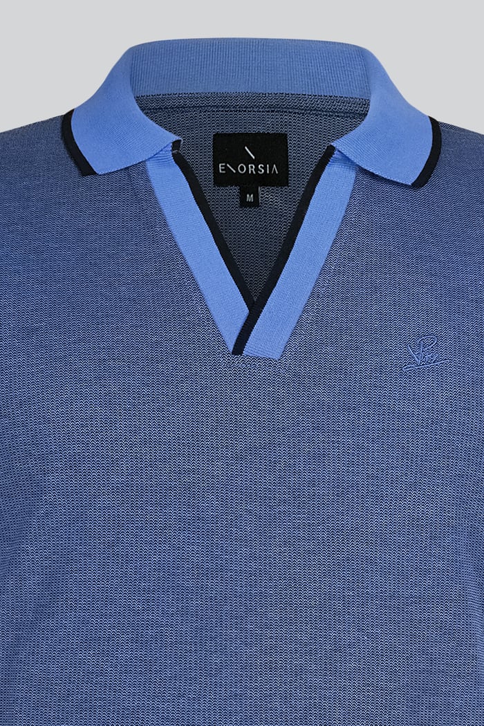 Regular Fit Ribbed V-Neck Polo Shirt