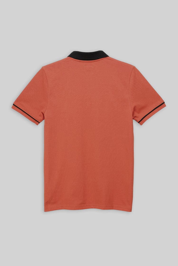 Contrast Collar Zip-Up Polo Shirt