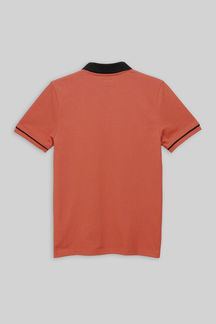 Contrast Collar Zip-Up Polo Shirt