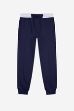 Mens Brushed Terry Jogger With Cut And Sew Waistband