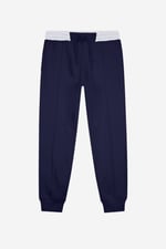 Mens Brushed Terry Jogger With Cut And Sew Waistband