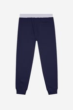 Mens Brushed Terry Jogger With Cut And Sew Waistband