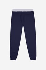 Mens Brushed Terry Jogger With Cut And Sew Waistband