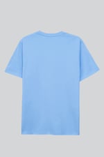 Mens Regular Fit T-Shirt & Shorts Set