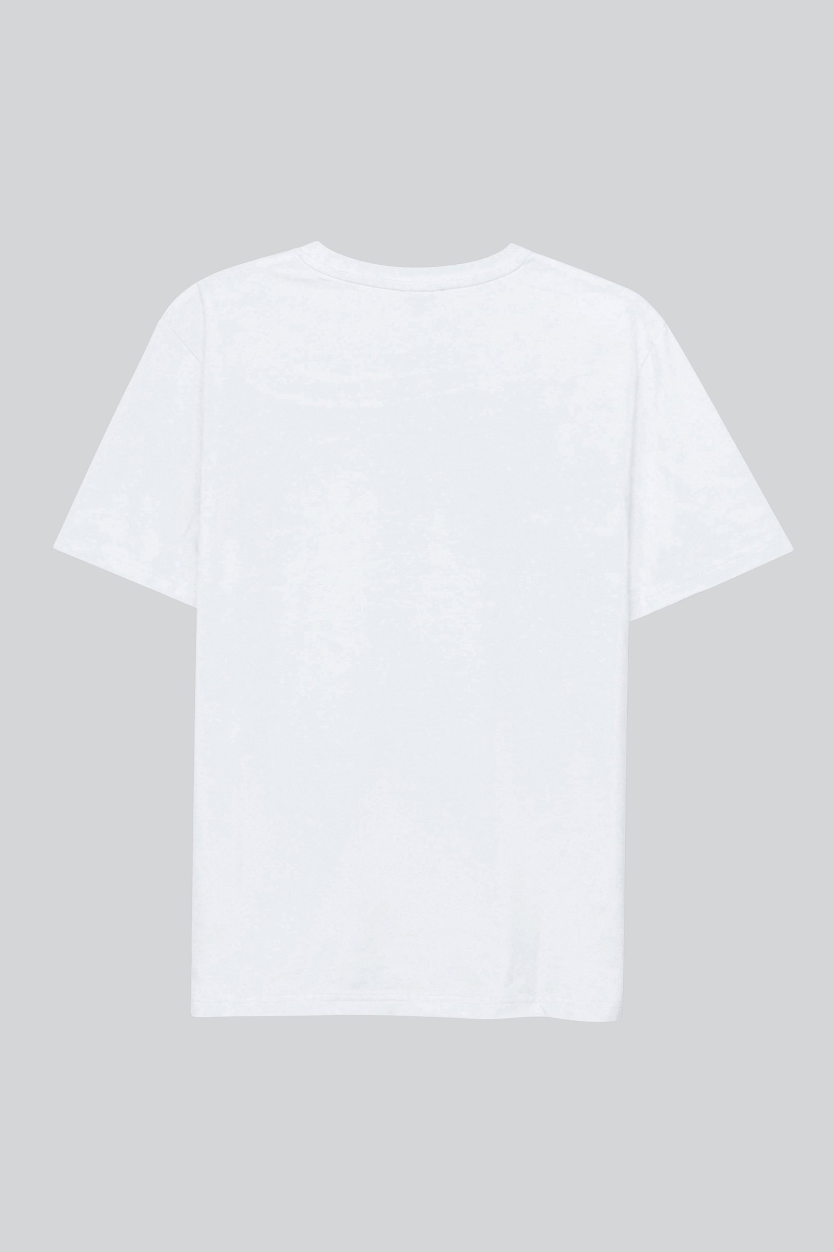 Mens Regular Fit T-Shirt & Shorts Set