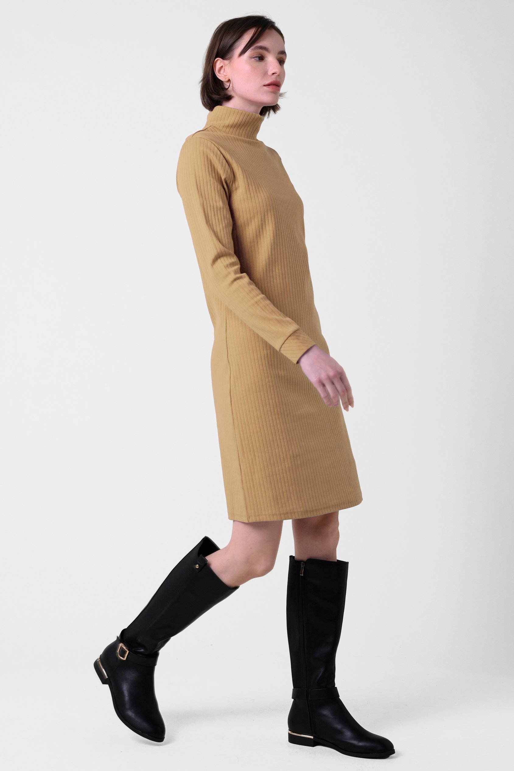 Ribbed Roll Neck Long Sleeve Mini Dress