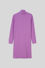 Ribbed Roll Neck Long Sleeve Mini Dress